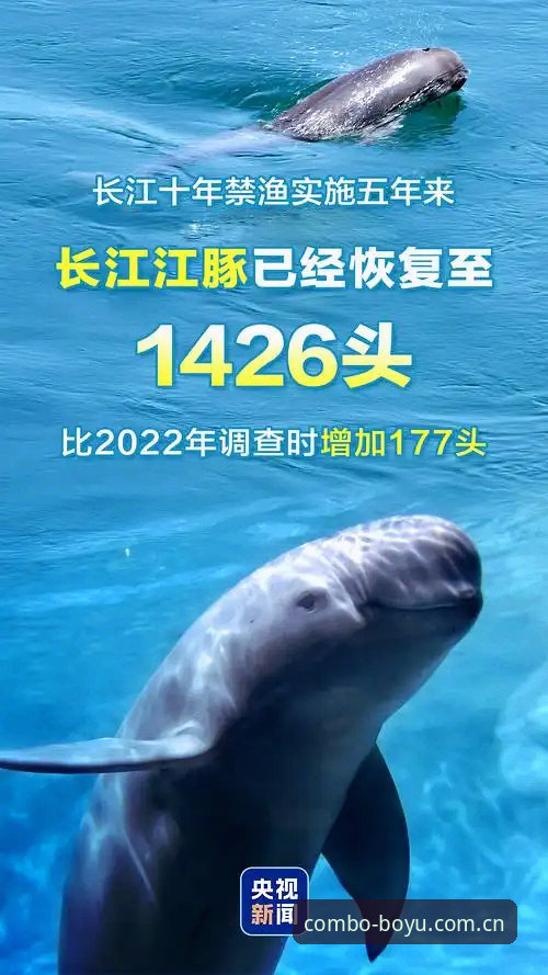 如何快速锁定博鱼官方网站地址必备指南？2025体育赛事平台新体验全解析